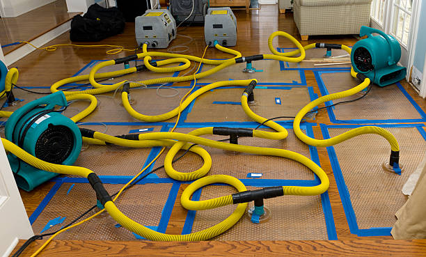 Professional Flood Damage Restoration technician working in Northborough, MA